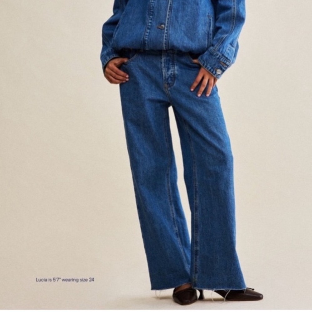 Parke Low Rise Baggy Jeans Women's 27 Medium Wash Button Fly Wide Leg Raw Hem